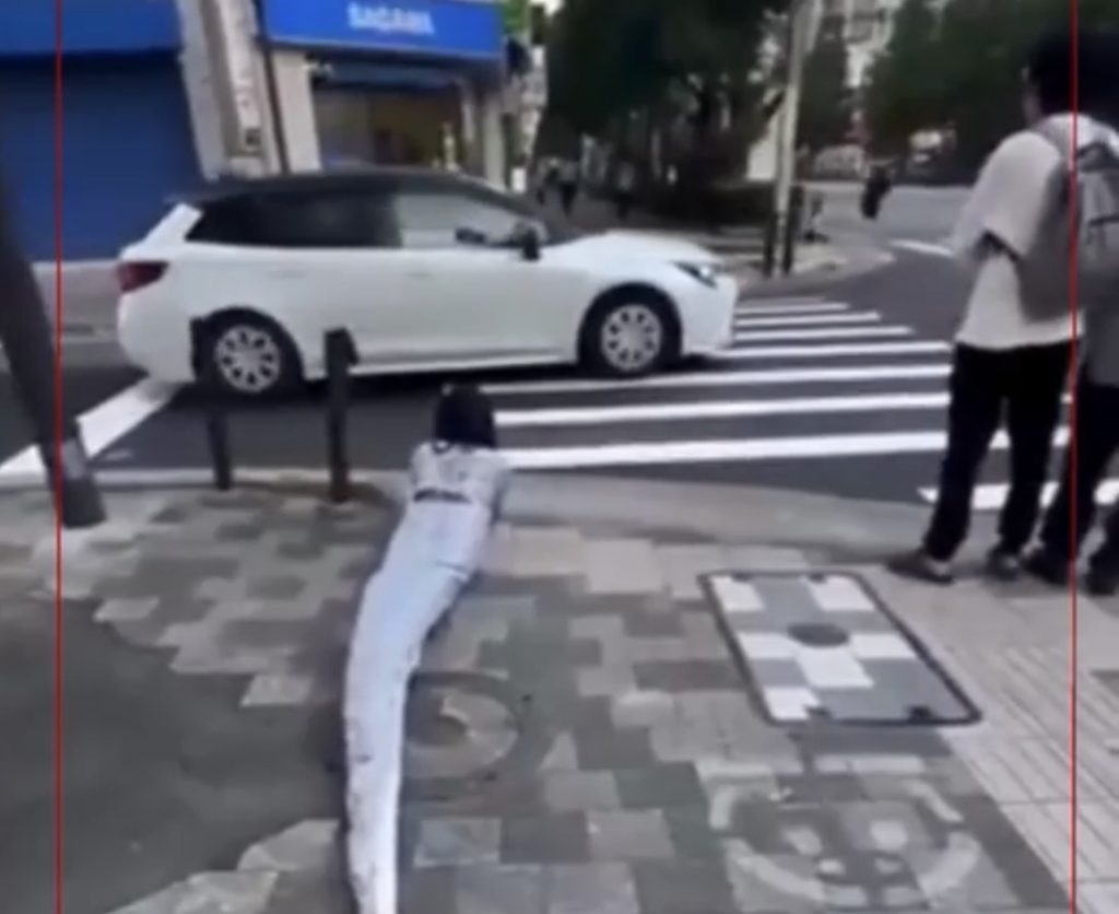Impactante viral desde Japón: un “therian serpiente” sorprende al mundo